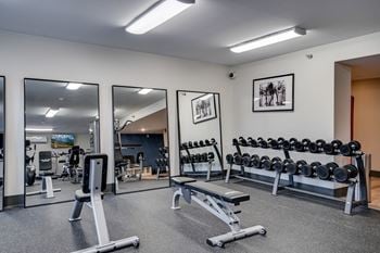 Weight Benches and Free Weights